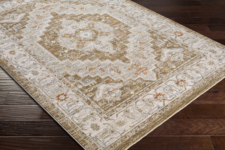 Canadensis Traditional Style Brown And Ivory Area Rug