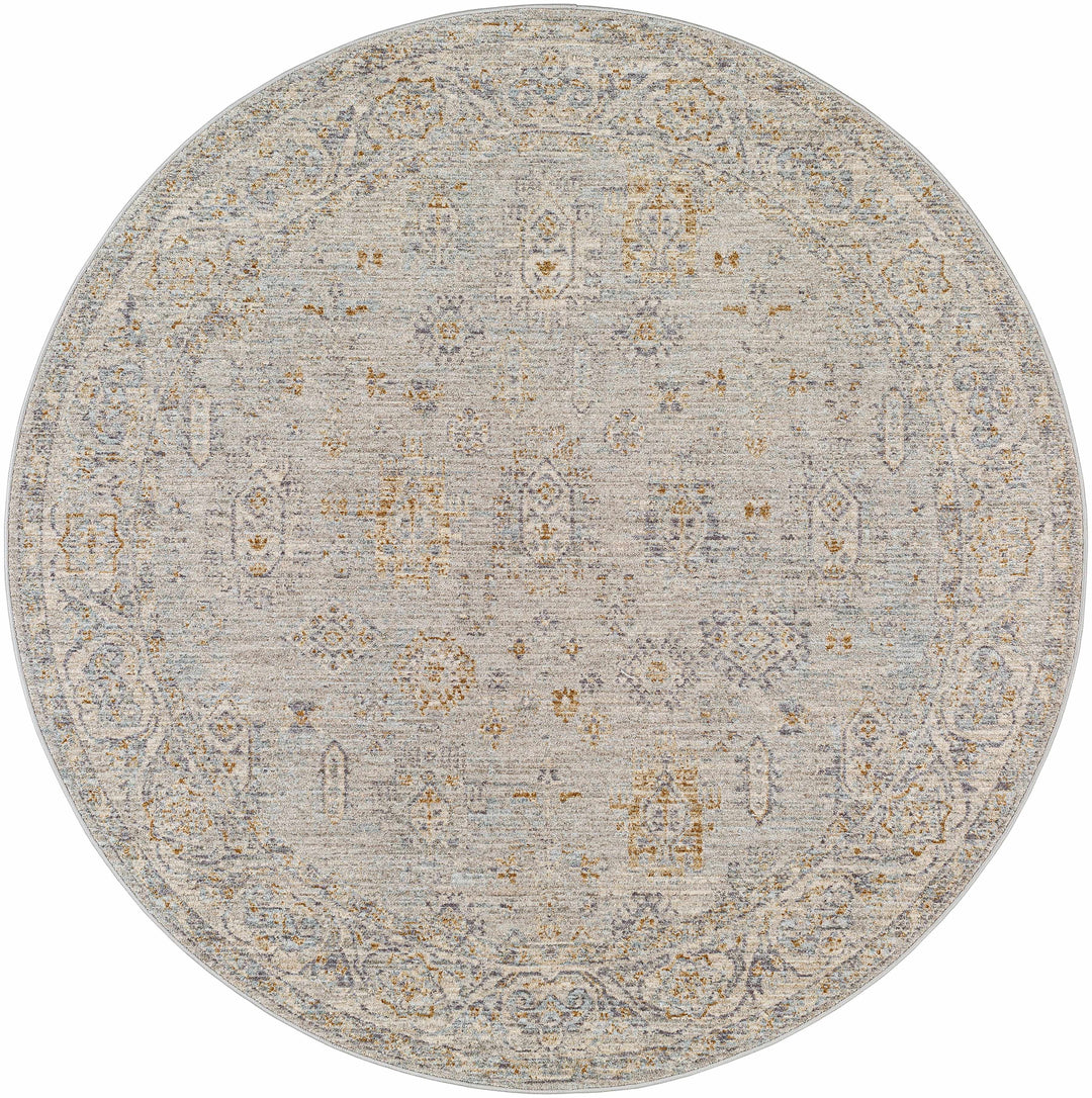 Coby Traditional Floral Design Gray And Beige Area Rug