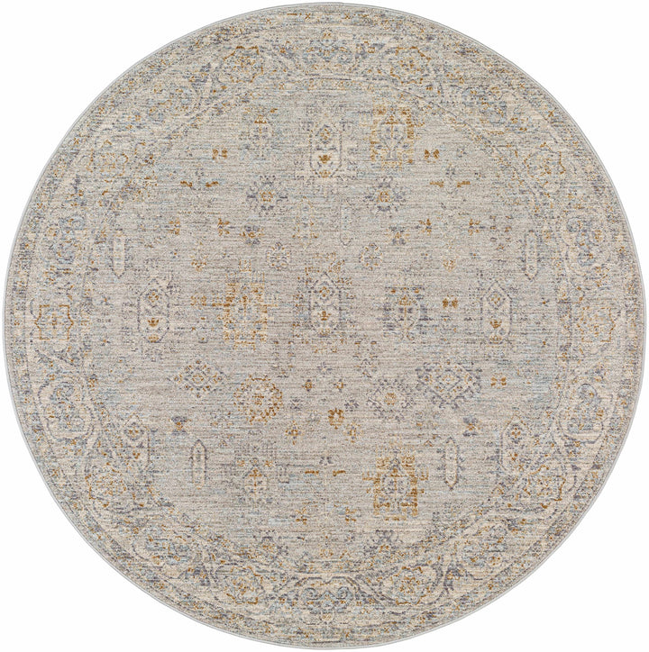 Coby Traditional Floral Design Gray And Beige Area Rug