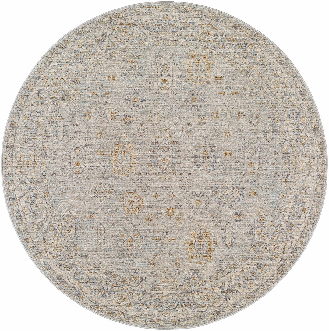 Coby Traditional Floral Design Gray And Beige Area Rug - The Rug Decor