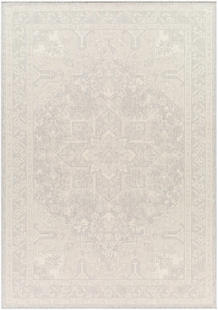 Cohen Traditional Style Beige Outdoor Area Rug - The Rug Decor