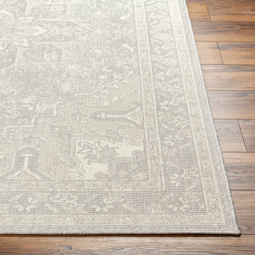 Cohen Traditional Style Beige Outdoor Area Rug - The Rug Decor