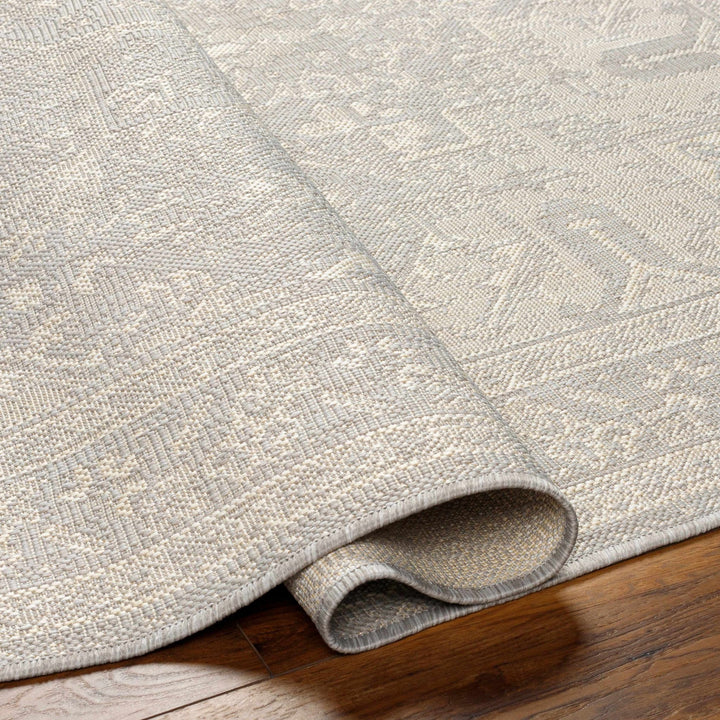 Cohen Traditional Style Beige Outdoor Area Rug - The Rug Decor