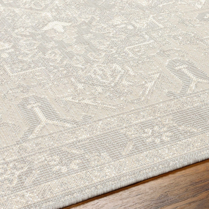 Cohen Traditional Style Beige Outdoor Area Rug - The Rug Decor