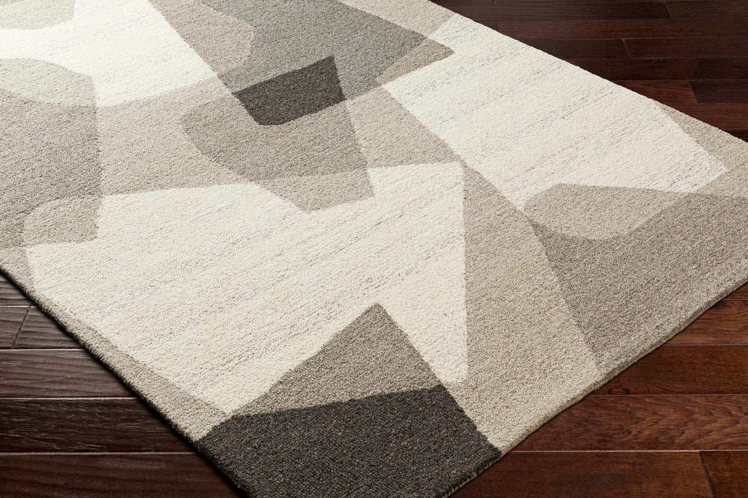 Colin Modern Design Beige And Gray Hand Tufted Wool Rug