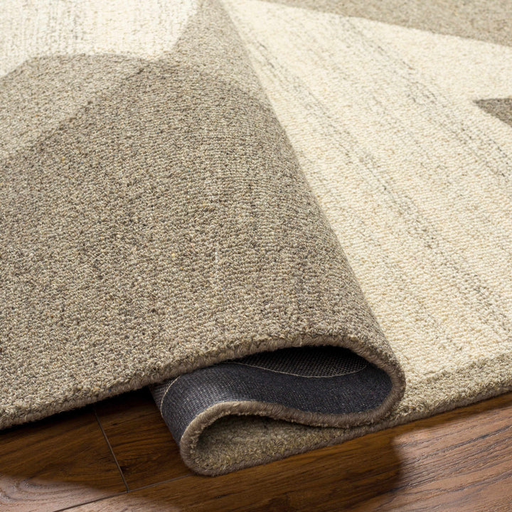 Colin Modern Design Beige And Gray Hand Tufted Wool Rug