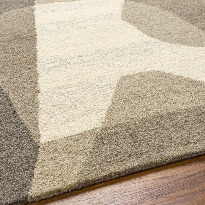 Colin Modern Design Beige And Gray Hand Tufted Wool Rug
