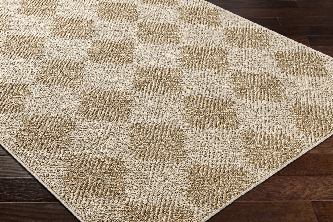 Collen Beige Modern Style Outdoor Area Rug - The Rug Decor