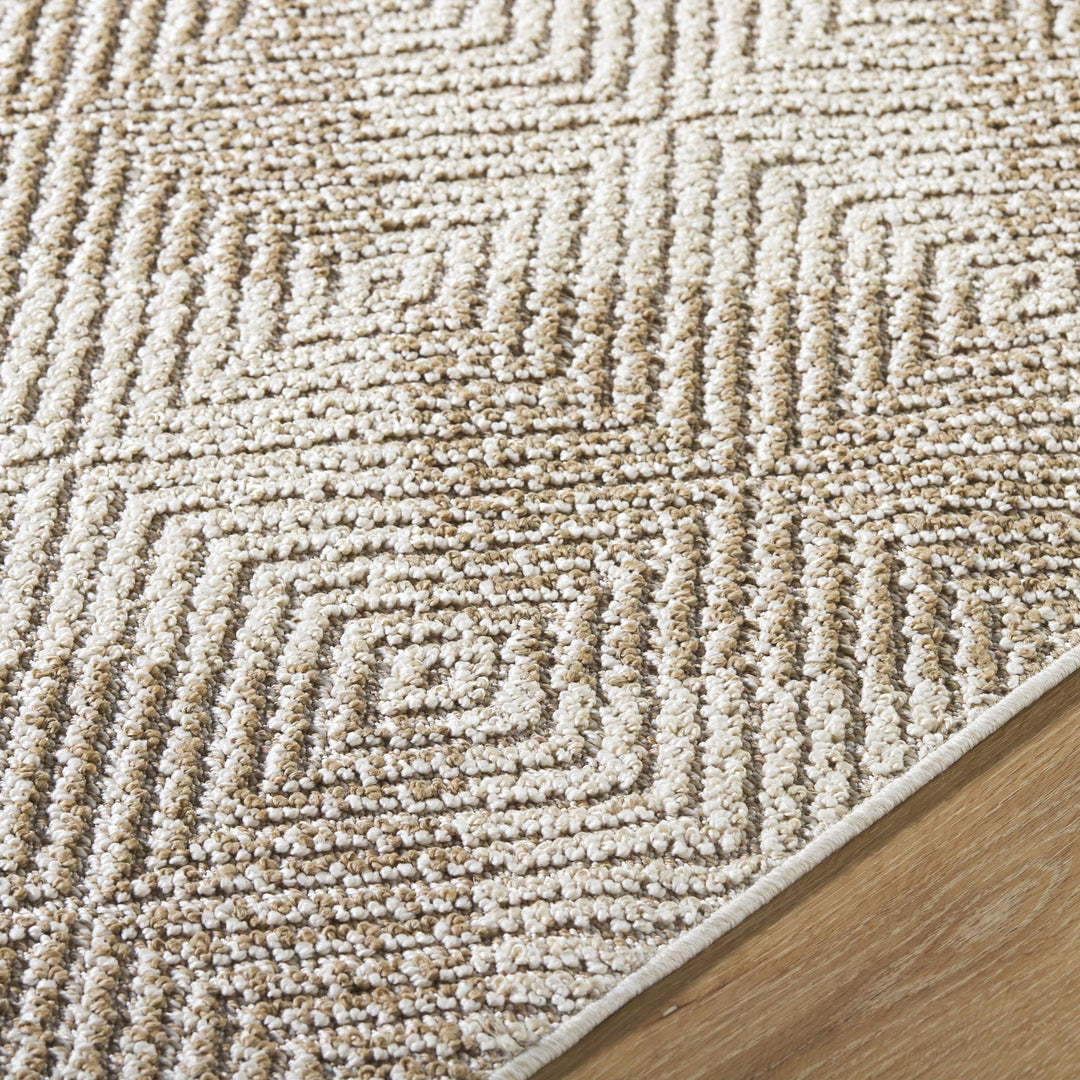 Collen Beige Modern Style Outdoor Area Rug - The Rug Decor