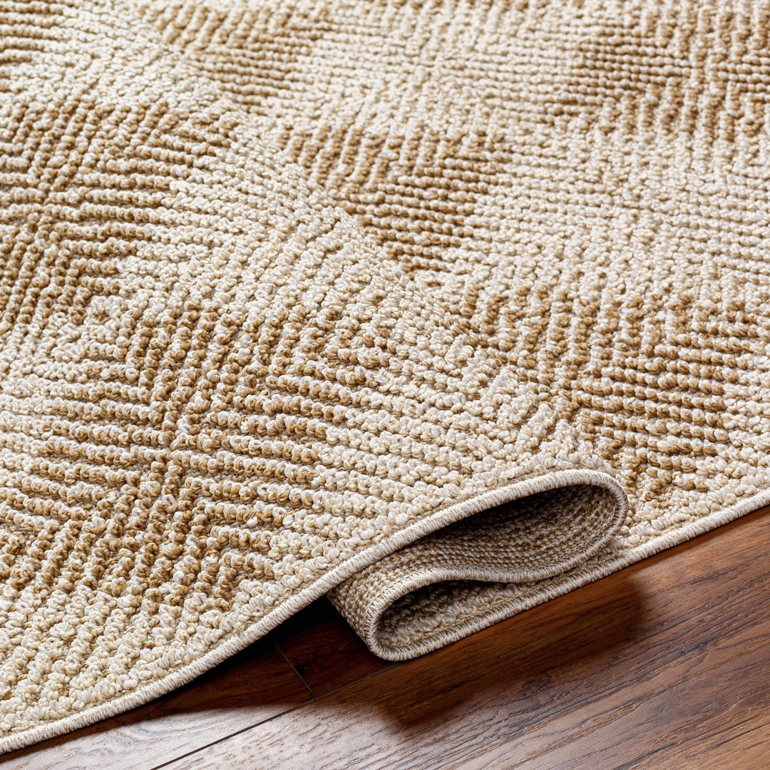Collen Beige Modern Style Outdoor Area Rug - The Rug Decor