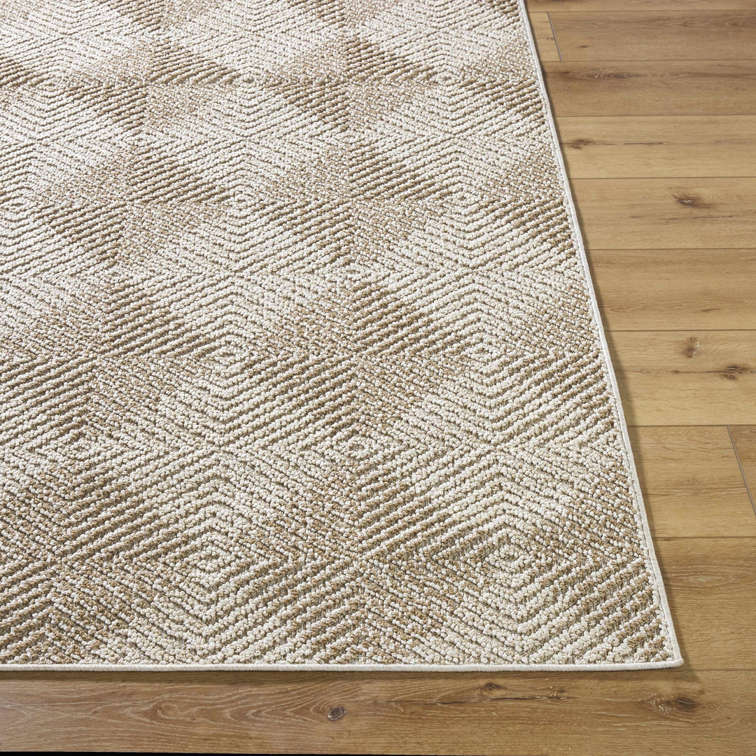 Collen Beige Modern Style Outdoor Area Rug - The Rug Decor