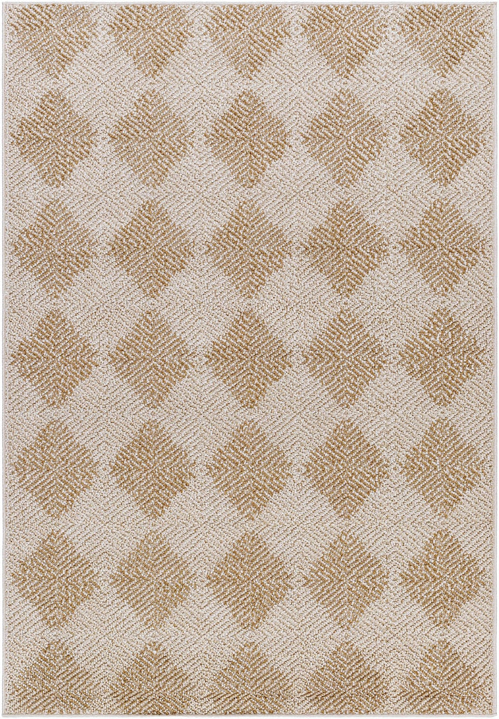 Collen Beige Modern Style Outdoor Area Rug - The Rug Decor