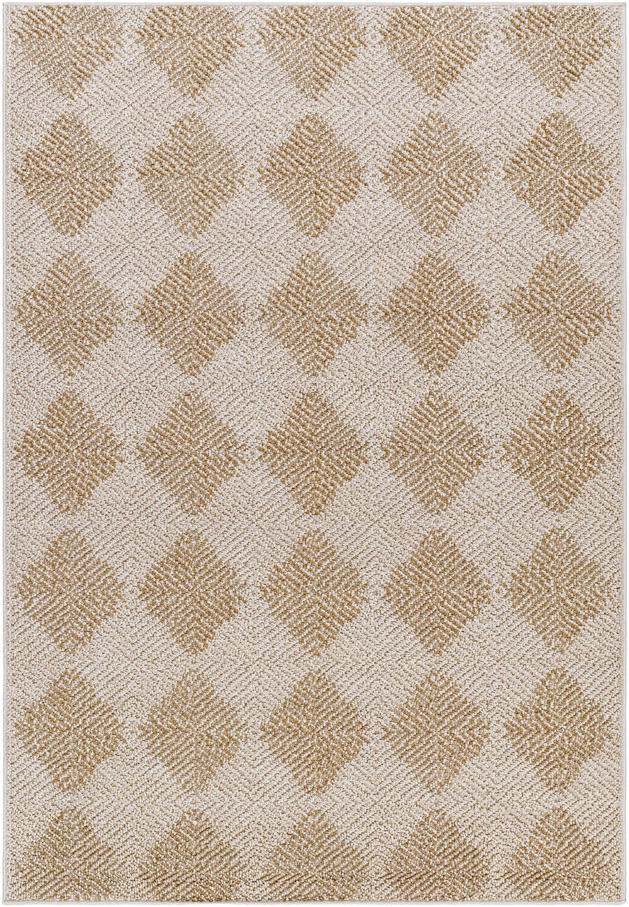 Collen Beige Modern Style Outdoor Area Rug - The Rug Decor