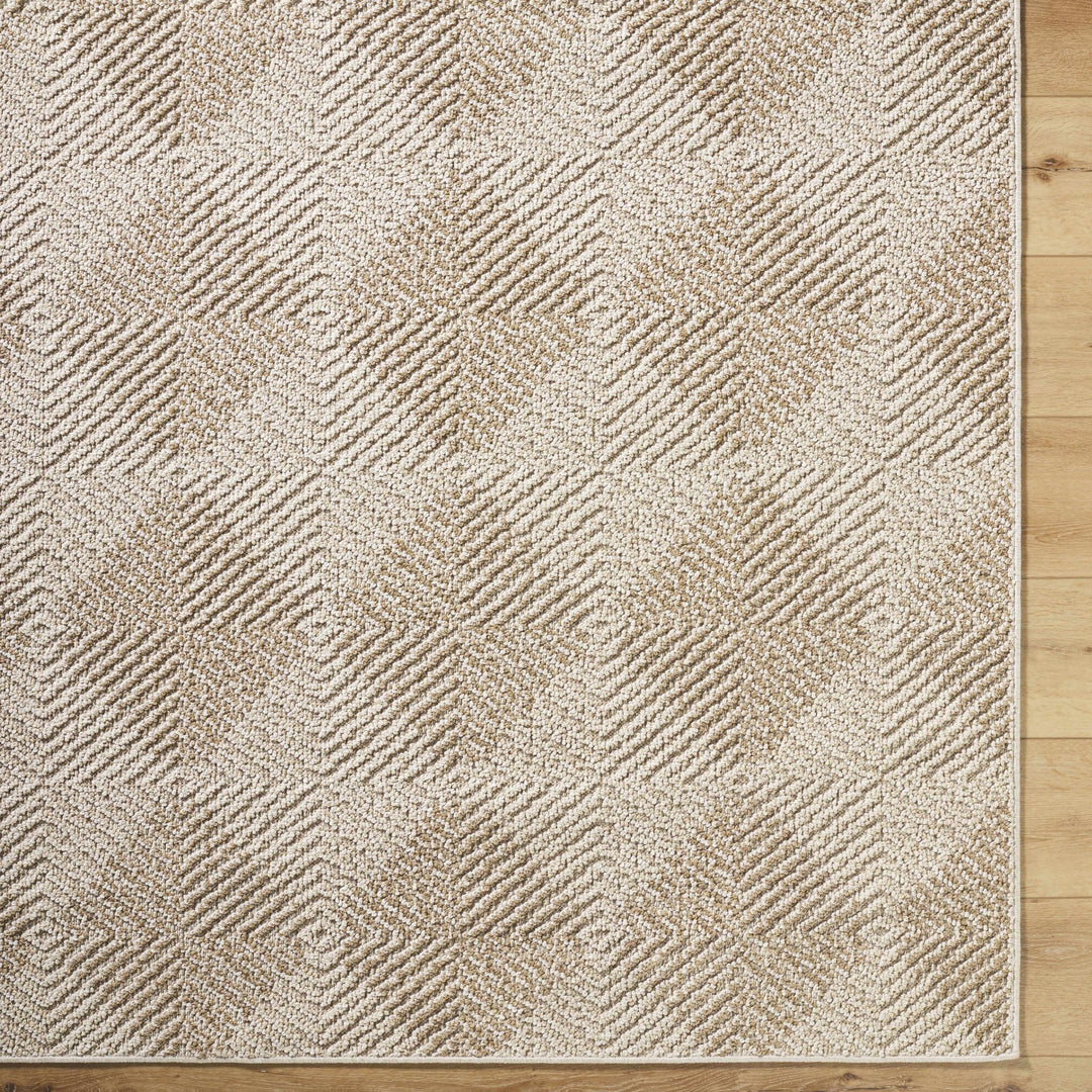 Collen Beige Modern Style Outdoor Area Rug - The Rug Decor