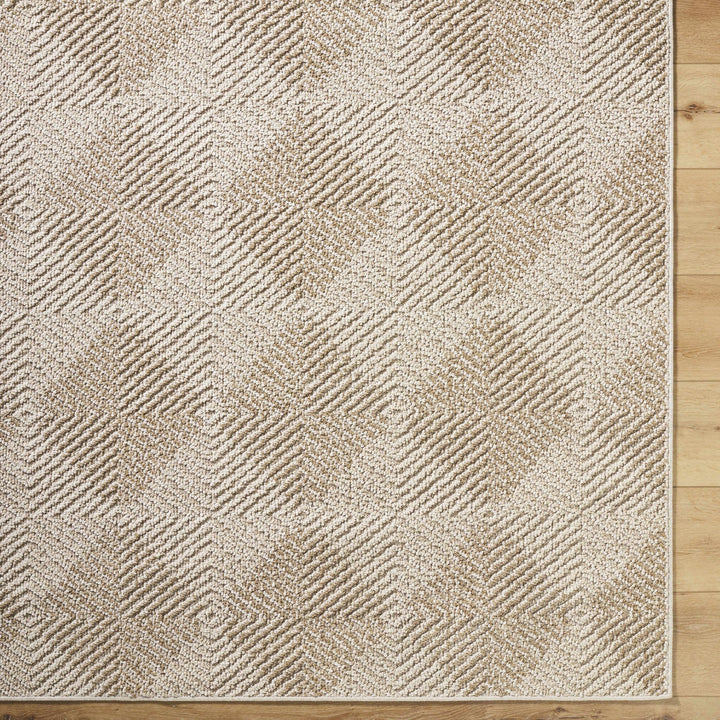 Collen Beige Modern Style Outdoor Area Rug - The Rug Decor