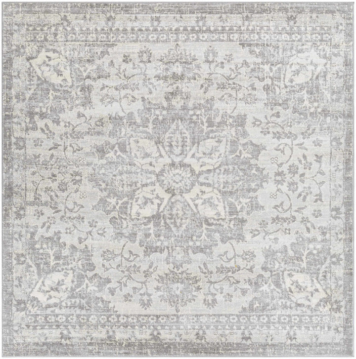 Colonie Traditional Style Gray Area Rug - The Rug Decor