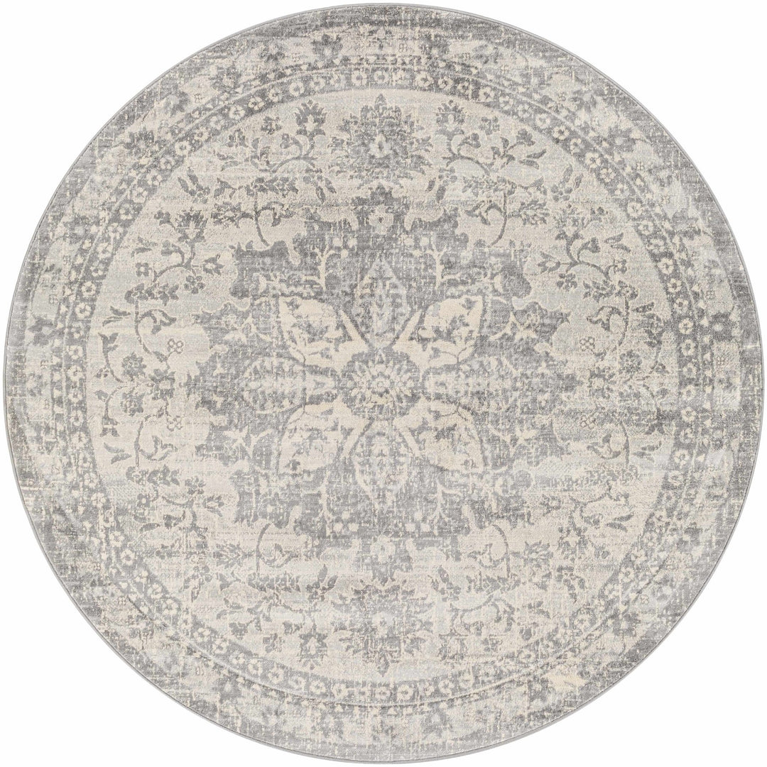 Colonie Traditional Style Gray Area Rug - The Rug Decor