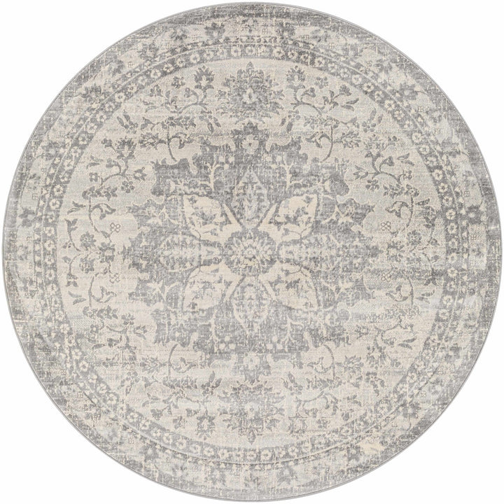 Colonie Traditional Style Gray Area Rug - The Rug Decor