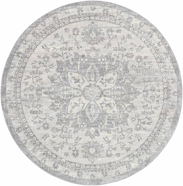 Colonie Traditional Style Gray Area Rug - The Rug Decor