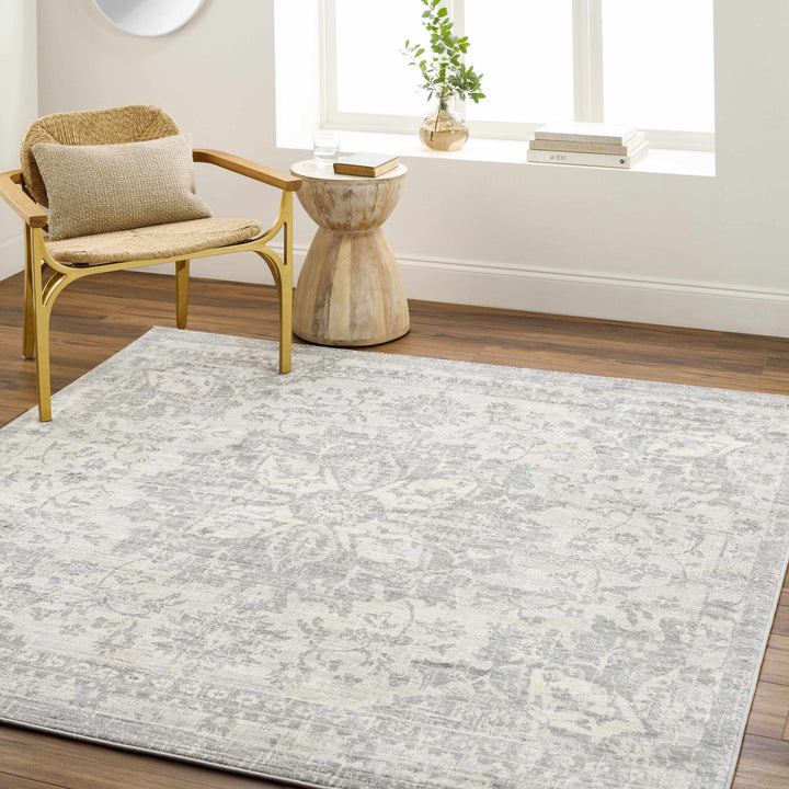 Colonie Traditional Style Gray Area Rug - The Rug Decor