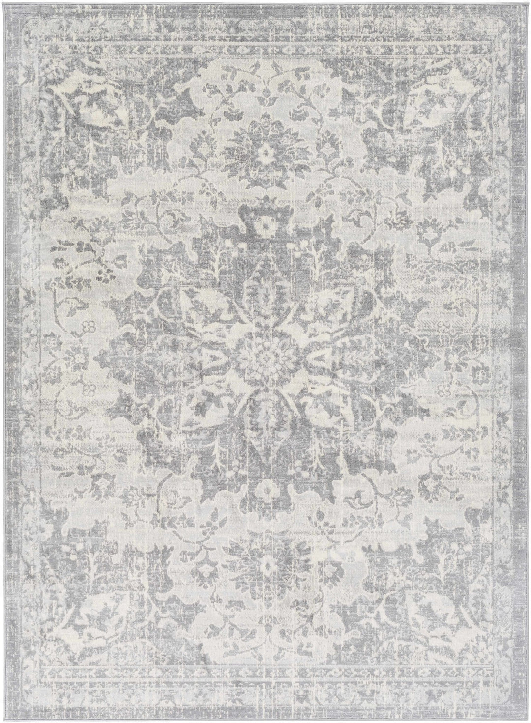 Colonie Traditional Style Gray Area Rug - The Rug Decor