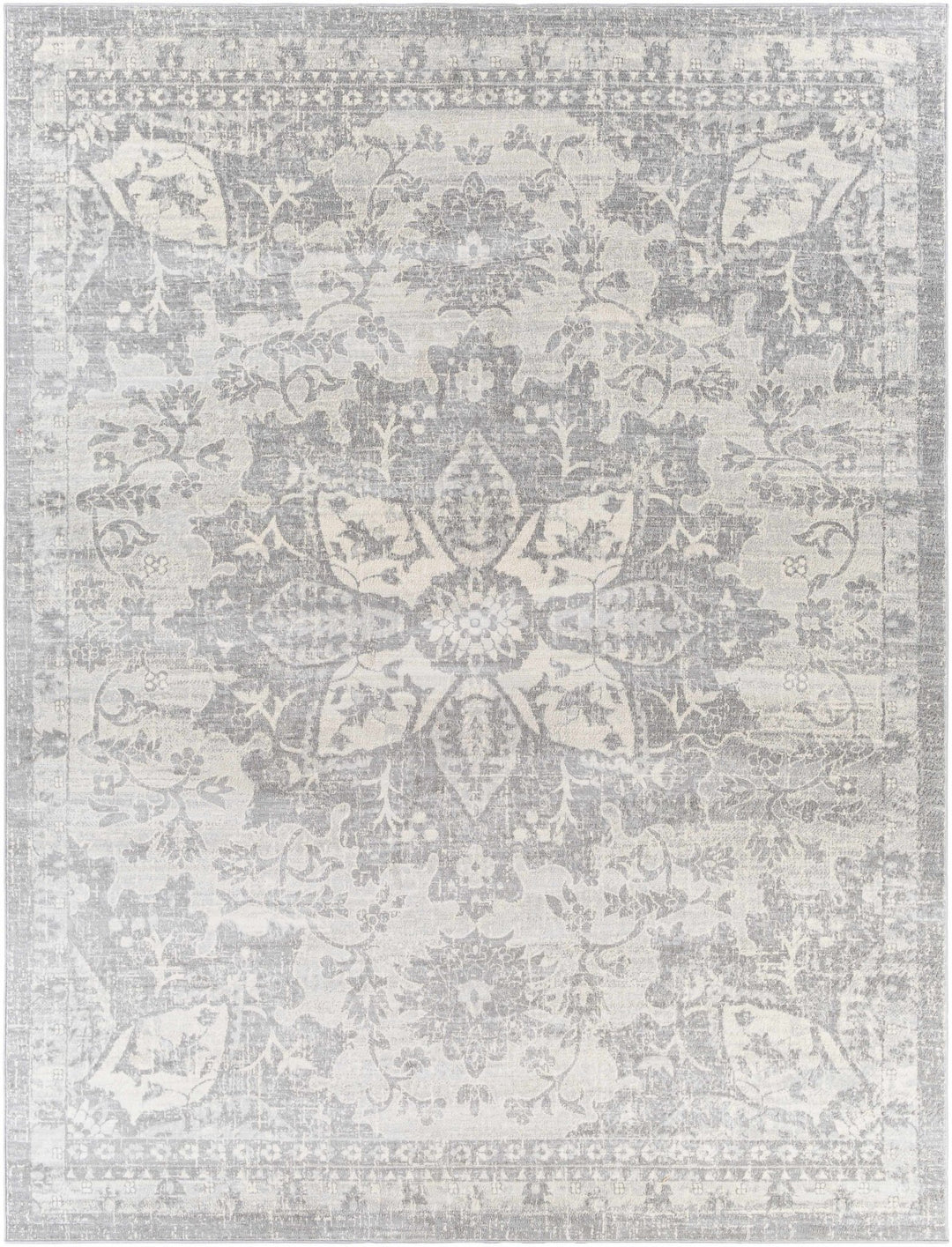 Colonie Traditional Style Gray Area Rug - The Rug Decor