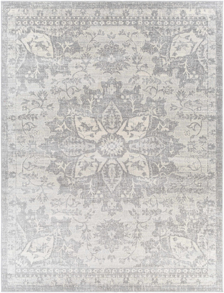 Colonie Traditional Style Gray Area Rug - The Rug Decor