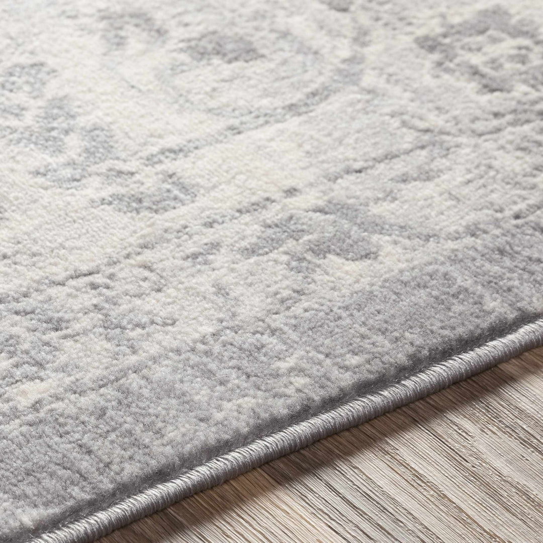 Colonie Traditional Style Gray Area Rug - The Rug Decor