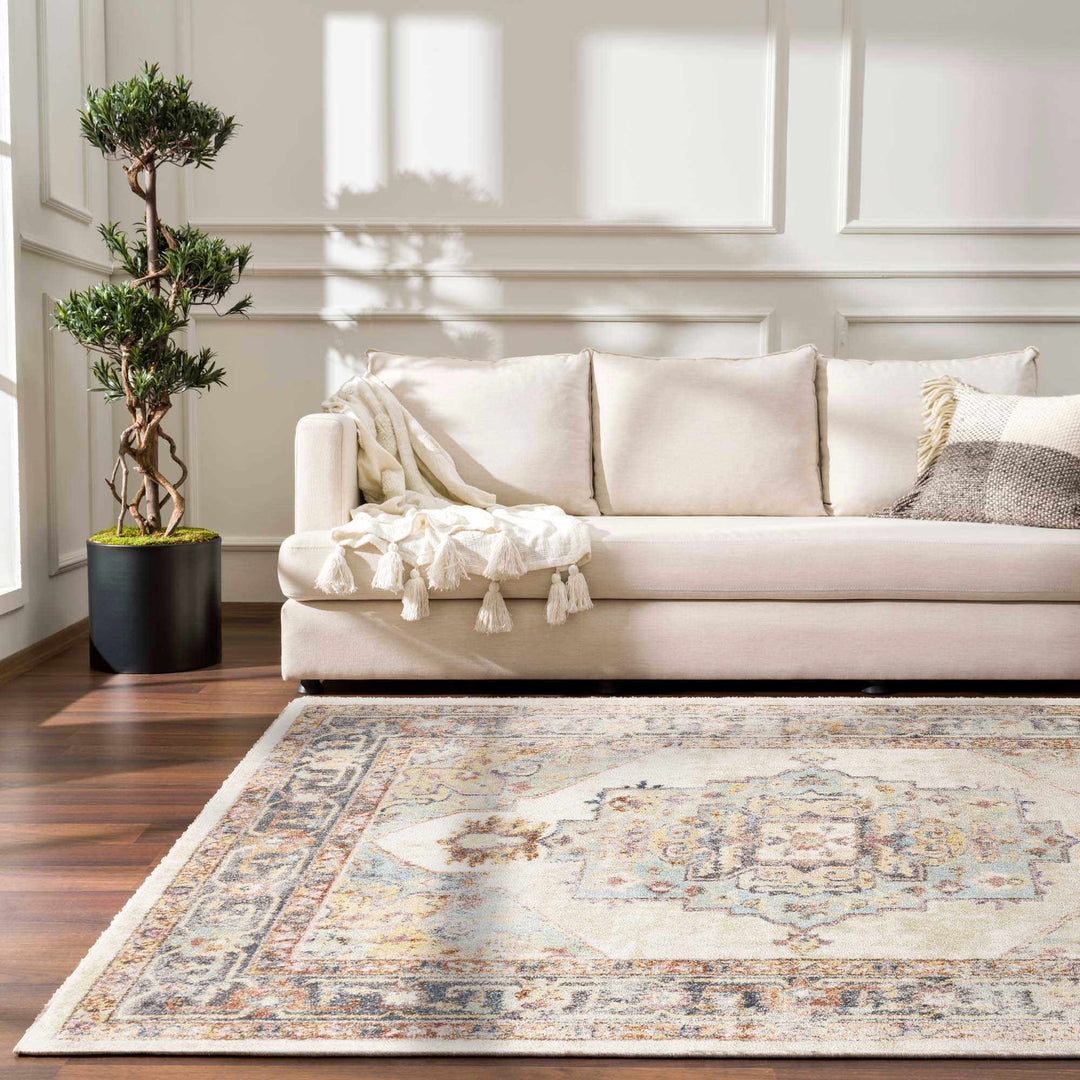 Colorful Blue, Ivory, Beige and Charcoal Traditional Heriz Multi Size rug - The Rug Decor