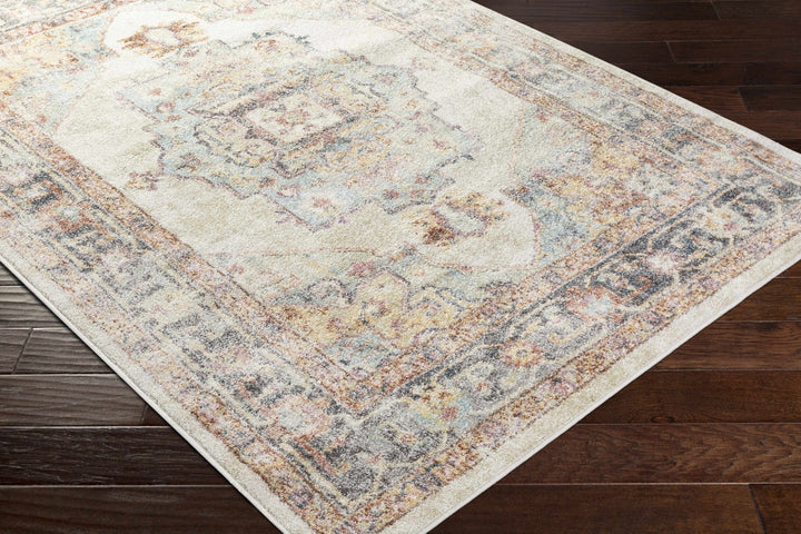Colorful Blue, Ivory, Beige and Charcoal Traditional Heriz Multi Size rug - The Rug Decor
