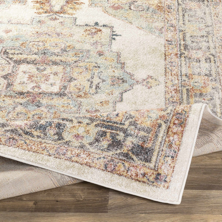 Colorful Blue, Ivory, Beige and Charcoal Traditional Heriz Multi Size rug - The Rug Decor