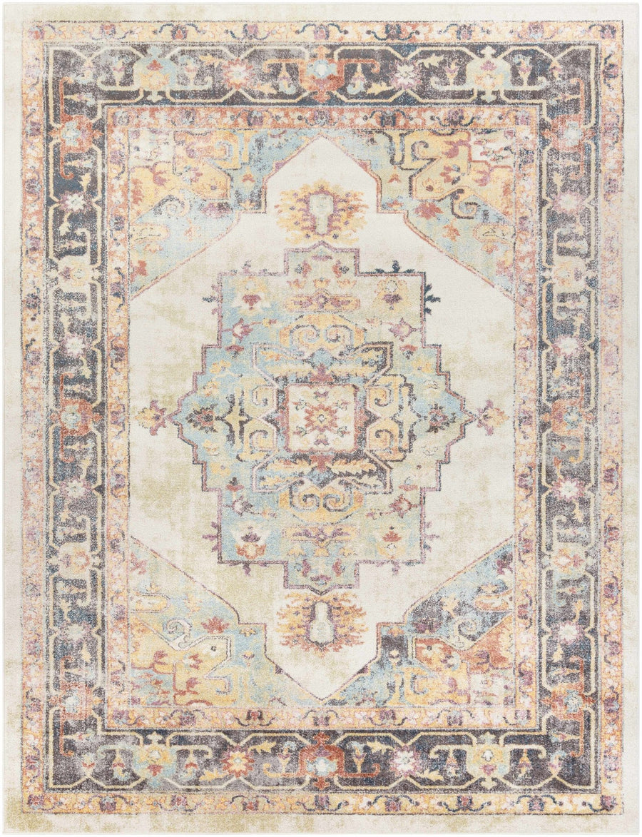 Colorful Blue, Ivory, Beige and Charcoal Traditional Heriz Multi Size rug - The Rug Decor