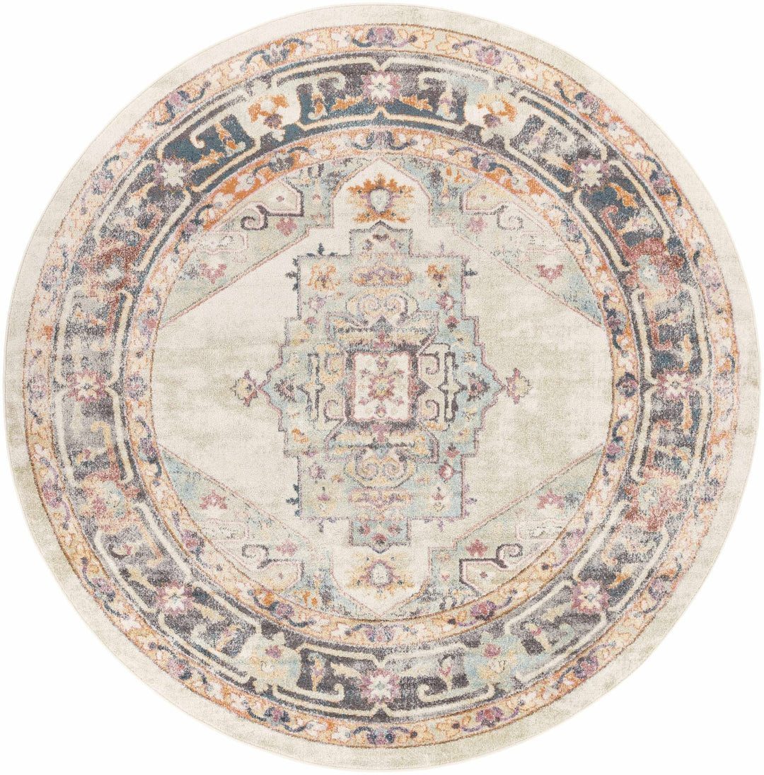 Colorful Blue, Ivory, Beige and Charcoal Traditional Heriz Multi Size rug - The Rug Decor