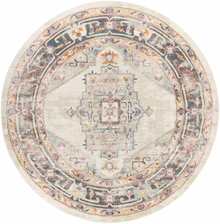 Colorful Blue, Ivory, Beige and Charcoal Traditional Heriz Multi Size rug - The Rug Decor