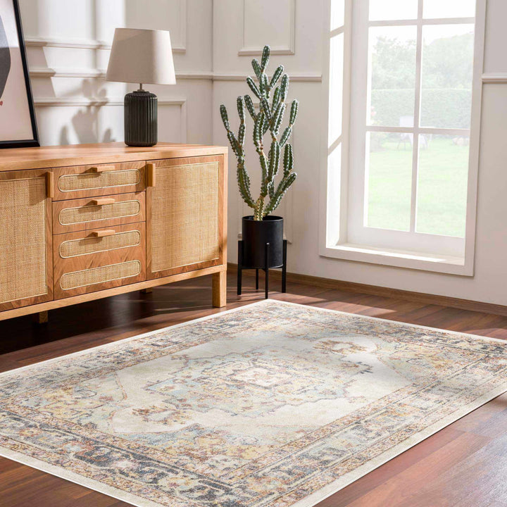 Colorful Blue, Ivory, Beige and Charcoal Traditional Heriz Multi Size rug - The Rug Decor