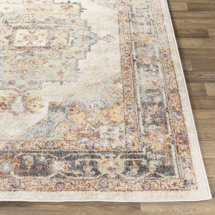 Colorful Blue, Ivory, Beige and Charcoal Traditional Heriz Multi Size rug - The Rug Decor