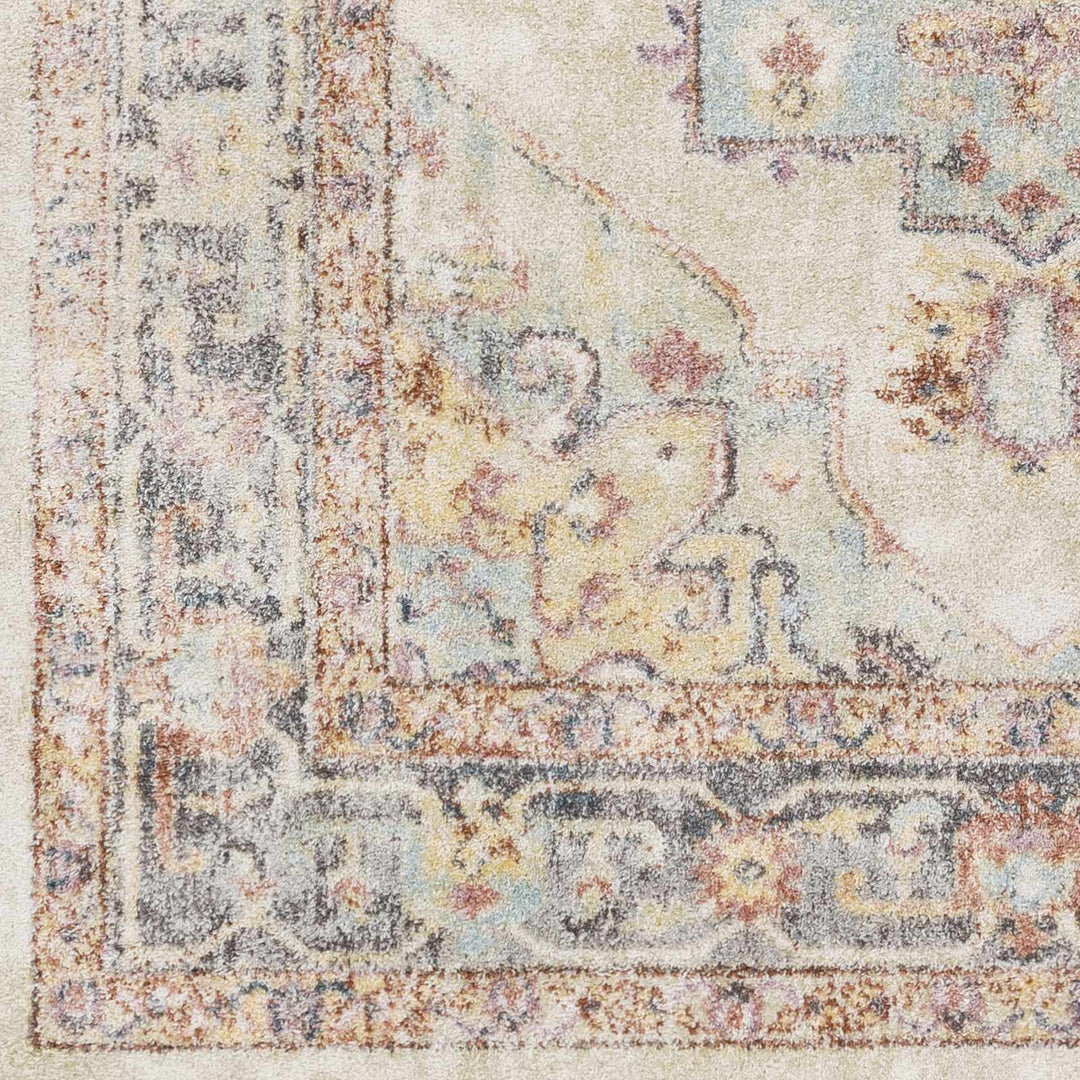 Colorful Blue, Ivory, Beige and Charcoal Traditional Heriz Multi Size rug - The Rug Decor
