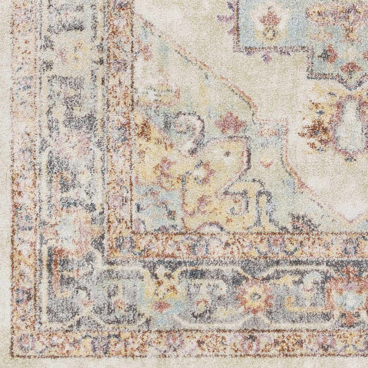 Colorful Blue, Ivory, Beige and Charcoal Traditional Heriz Multi Size rug - The Rug Decor