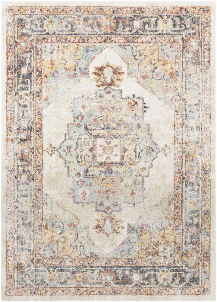 Colorful Blue, Ivory, Beige and Charcoal Traditional Heriz Multi Size rug - The Rug Decor