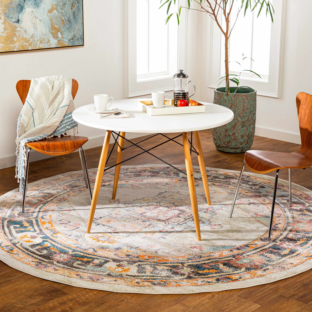Colorful Blue, Ivory, Beige and Charcoal Traditional Heriz Multi Size rug - The Rug Decor