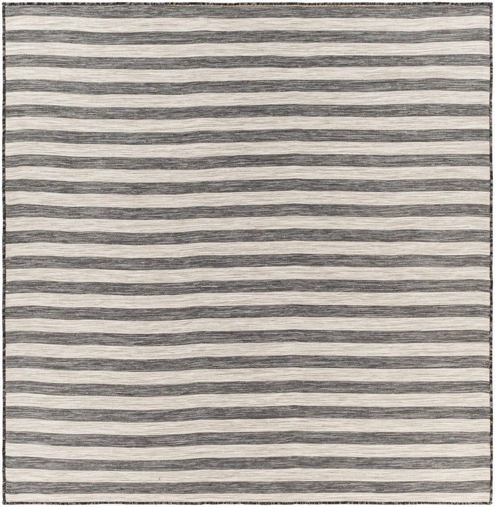 Constableville Black And Beige Modern Style Outdoor Area Rug - The Rug Decor