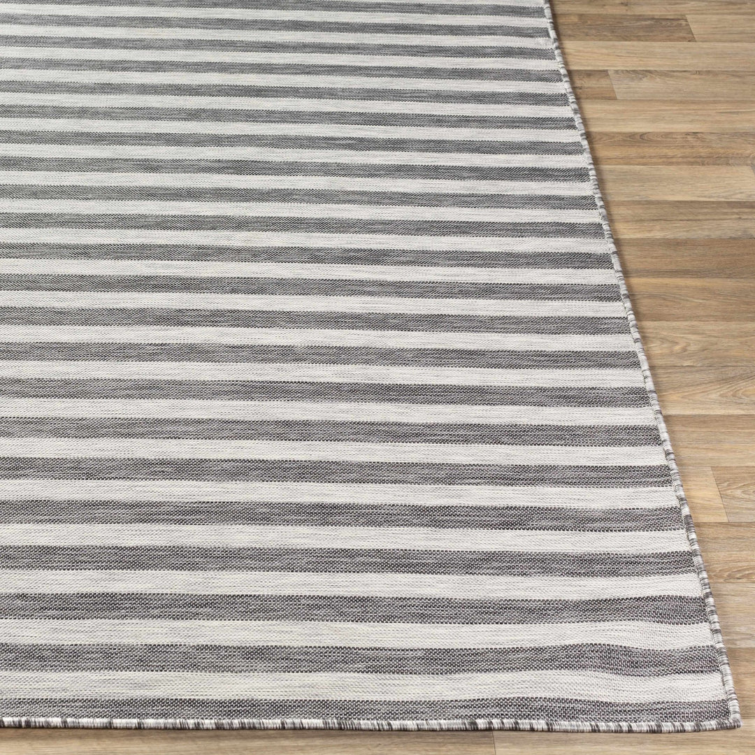 Constableville Black And Beige Modern Style Outdoor Area Rug - The Rug Decor