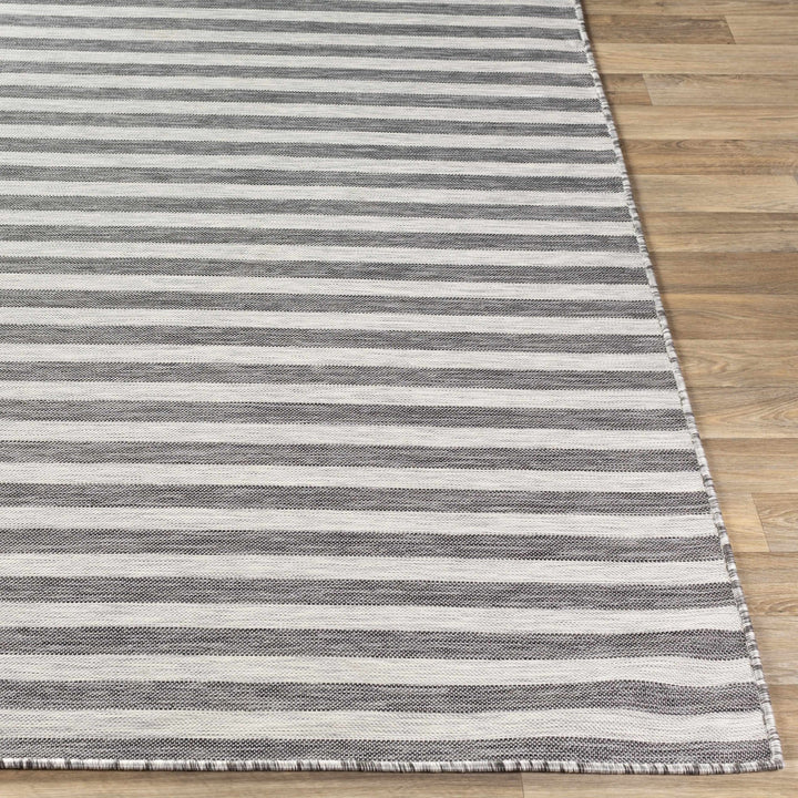 Constableville Black And Beige Modern Style Outdoor Area Rug - The Rug Decor