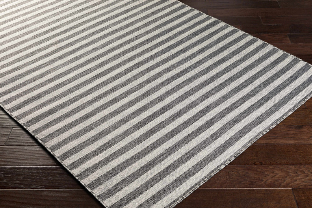 Constableville Black And Beige Modern Style Outdoor Area Rug - The Rug Decor