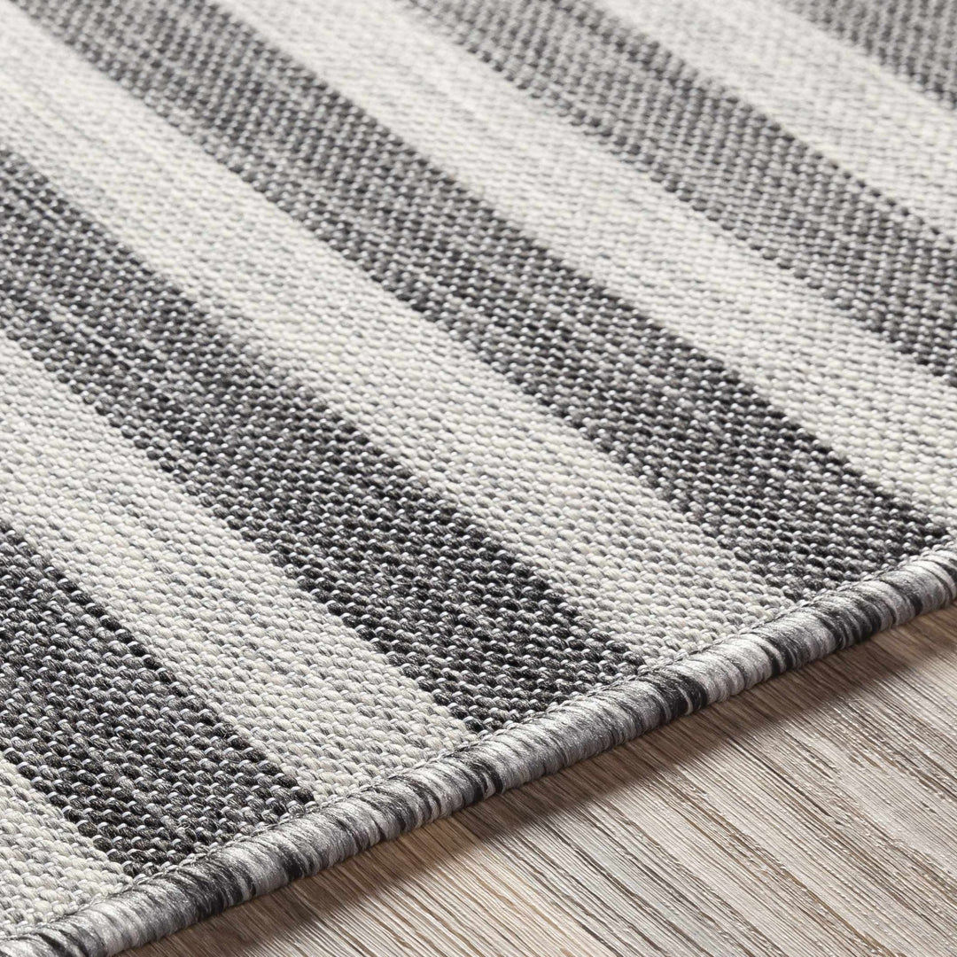 Constableville Black And Beige Modern Style Outdoor Area Rug - The Rug Decor