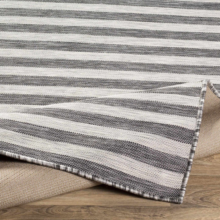 Constableville Black And Beige Modern Style Outdoor Area Rug - The Rug Decor