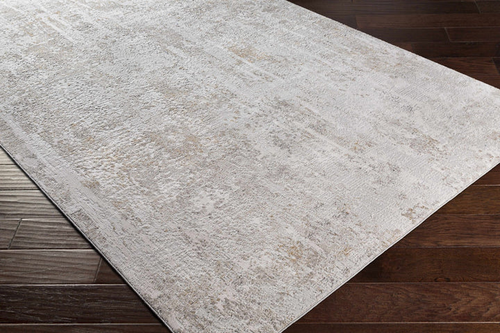 Contemporary Abstract Beige And Gray Area Rug - The Rug Decor