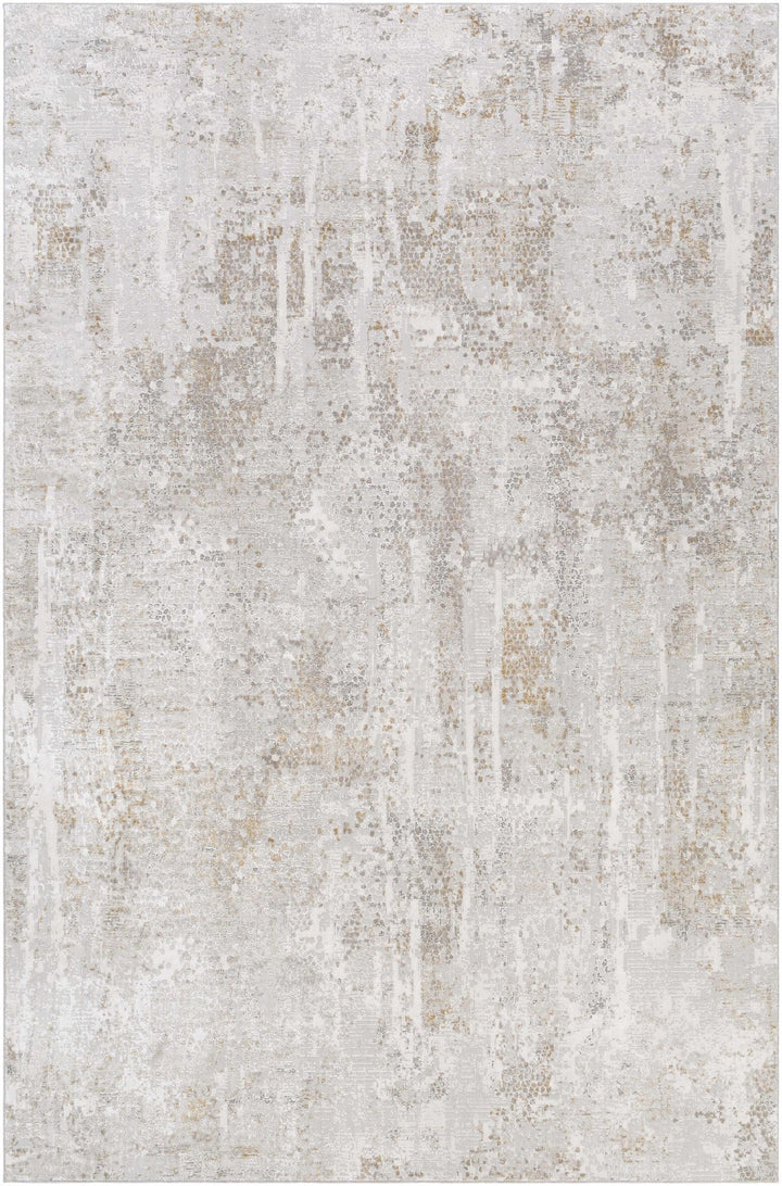 Contemporary Abstract Beige And Gray Area Rug - The Rug Decor