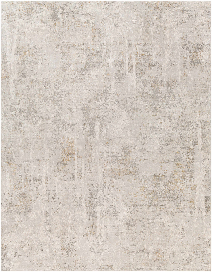 Contemporary Abstract Beige And Gray Area Rug - The Rug Decor