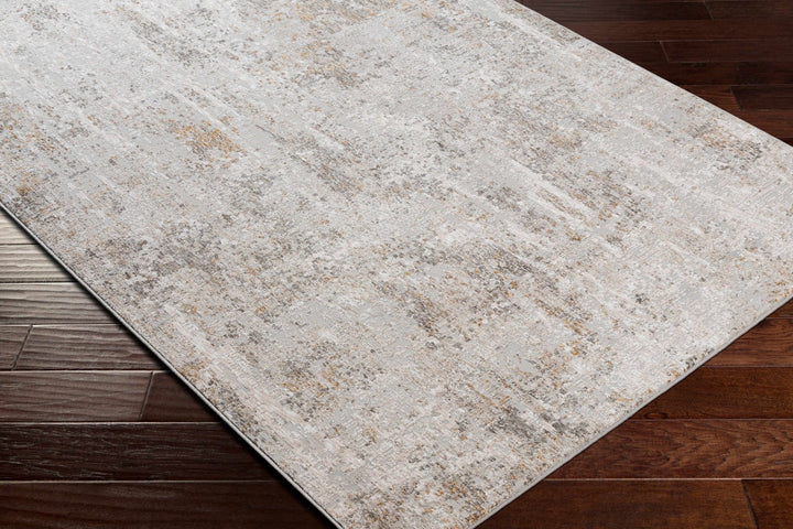 Contemporary Abstract Beige And Gray Area Rug - The Rug Decor